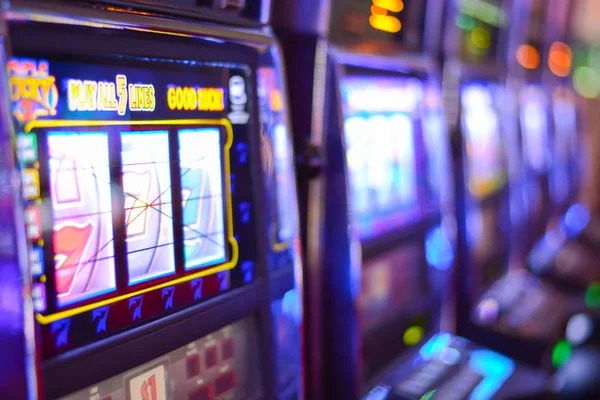bambu4d togel Dragon Hatch weekly cashback dashboard showing tier-based percentages